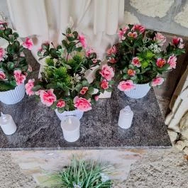 Papkert, Hidegség - Egyéb