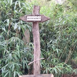 Papkert, Hidegség - Egyéb