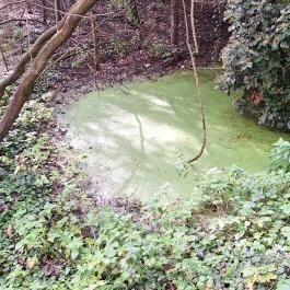 Papkert, Hidegség - Egyéb