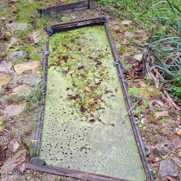 Papkert, Hidegség - Egyéb