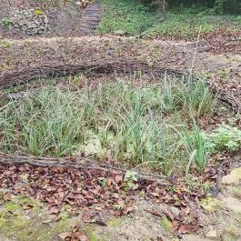 Papkert, Hidegség - Egyéb