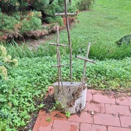 Papkert, Hidegség - Egyéb