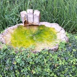 Papkert, Hidegség - Egyéb