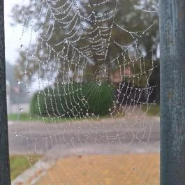 Papkert Hidegség - Külső kép