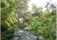 Papsapka-kövek Gyulakeszi