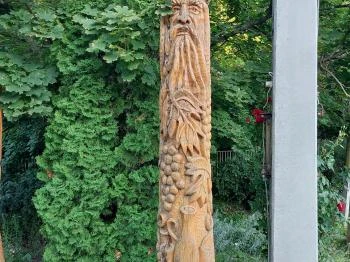 Paraszt Bacchus Kozárd