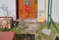 Patkó Csárda Nadap