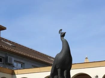 Pávás díszkút Kisújszállás