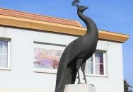 Pávás díszkút Kisújszállás