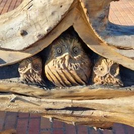 Pázmándi kerékpáros pihenő, Pázmánd - Egyéb