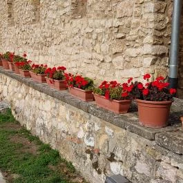 Pécsváradi Vár Pécsvárad - Külső kép