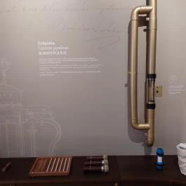 Pénzmúzeum Budapest - Belső