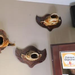 Peppino Pizzéria Tapolca - Egyéb