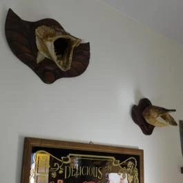 Peppino Pizzéria Tapolca - Egyéb