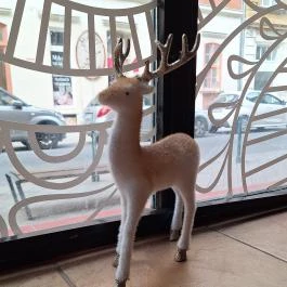 Pesti Chutney Budapest - Egyéb