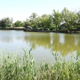 Péteri Horgásztó & Pihenőpark Péteri - Külső kép