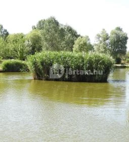 Péteri Horgásztó & Pihenőpark