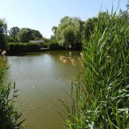 Péteri Horgásztó & Pihenőpark Péteri - Külső kép