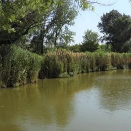 Péteri Horgásztó & Pihenőpark Péteri - Külső kép