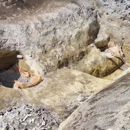 Pétermonostora, Bugac - Egyéb