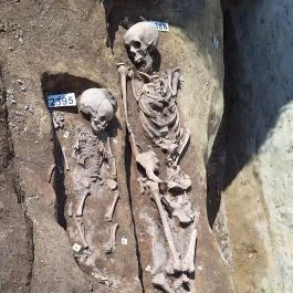 Pétermonostora, Bugac - Egyéb