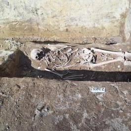 Pétermonostora, Bugac - Egyéb