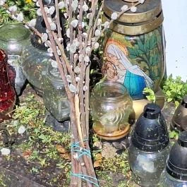 Pétermonostora, Bugac - Egyéb