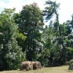 Petesmalmi Vidrapark Lábod - 