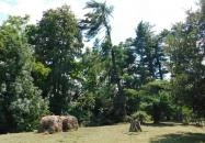 Petesmalmi Vidrapark Lábod Petesmalmi Vidrapark Lábod