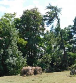 Petesmalmi Vidrapark