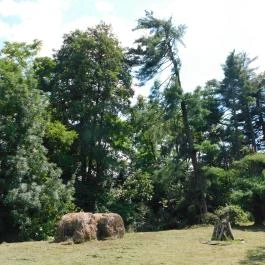 Petesmalmi Vidrapark Lábod - Egyéb