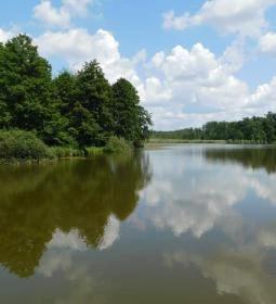 Petesmalmi Vidrapark