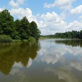 Petesmalmi Vidrapark Lábod - Egyéb