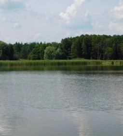 Petesmalmi Vidrapark