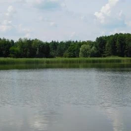 Petesmalmi Vidrapark Lábod - Egyéb