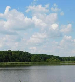 Petesmalmi Vidrapark