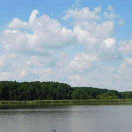 Petesmalmi Vidrapark Lábod - Egyéb