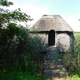 Petesmalmi Vidrapark Lábod - Egyéb