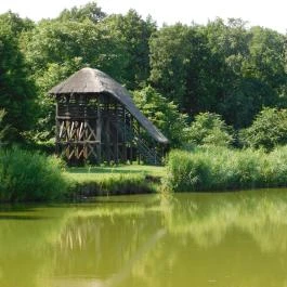 Petesmalmi Vidrapark Lábod - Egyéb