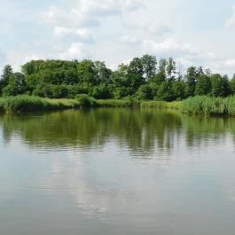 Petesmalmi Vidrapark Lábod - Egyéb