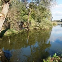 Petesmalmi Vidrapark Lábod - Egyéb