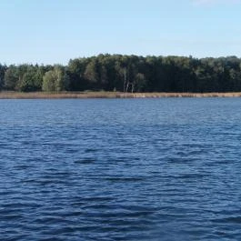 Petesmalmi Vidrapark Lábod - Egyéb