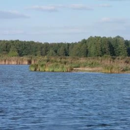 Petesmalmi Vidrapark Lábod - Egyéb