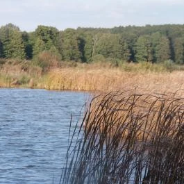 Petesmalmi Vidrapark Lábod - Egyéb