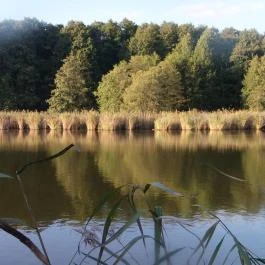 Petesmalmi Vidrapark Lábod - Egyéb