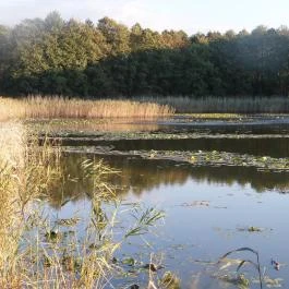 Petesmalmi Vidrapark Lábod - Egyéb