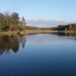 Petesmalmi Vidrapark Lábod - Egyéb