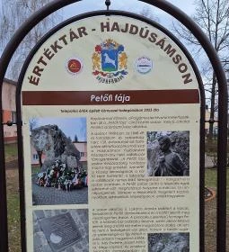 Petőfi fája