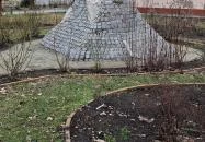 Petőfi fája Hajdúsámson