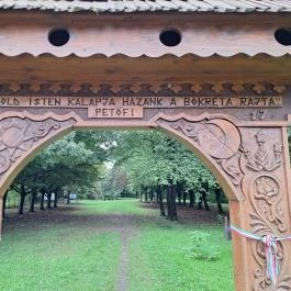 Petőfi fája Szatmárcseke - Egyéb